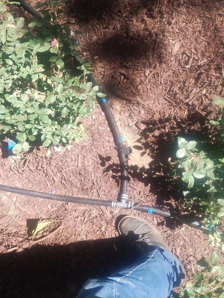 Reliable landscape design in Greenwood Village, CO - Natures Carpet Lawn & Sprinkler