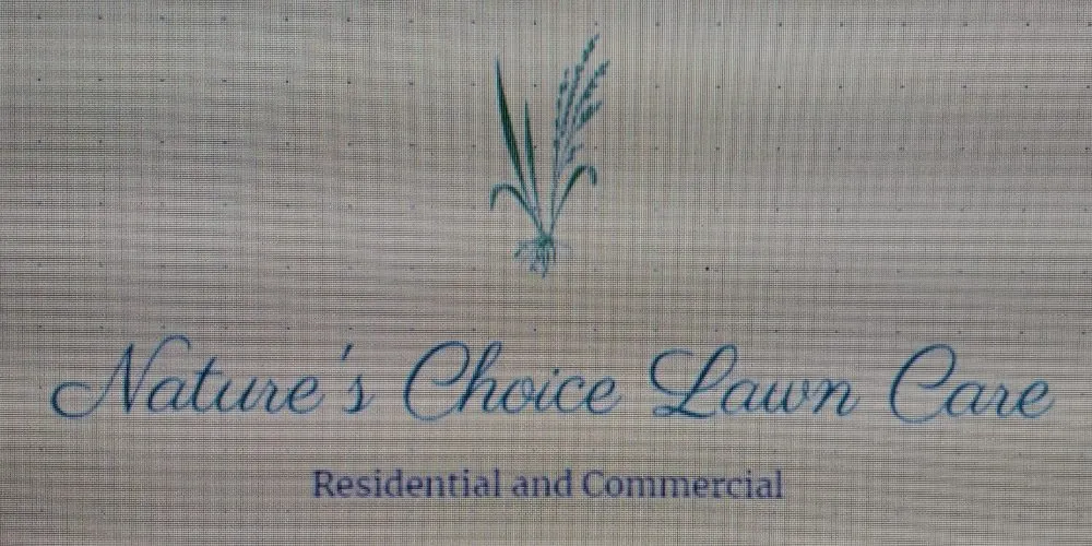 Trusted landscape installation for residential properties across Crystal River, FL - Nature's Choice Lawn Care
