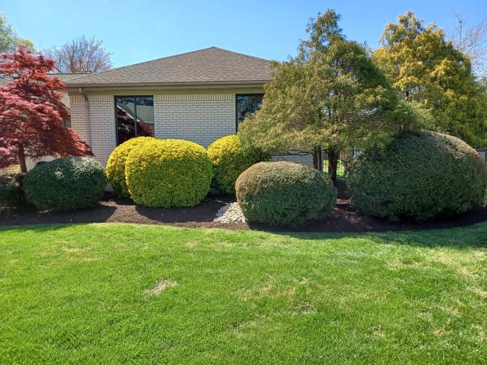 Top-rated landscape installation in Crystal River, FL by Nature's Choice Lawn Care