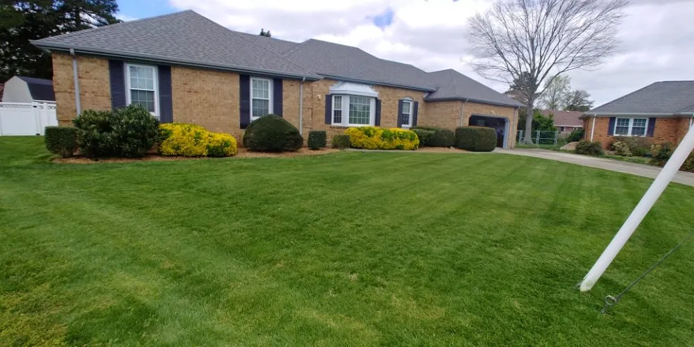 Trusted yard cleanup service in Crystal River, FL - Nature's Choice Lawn Care