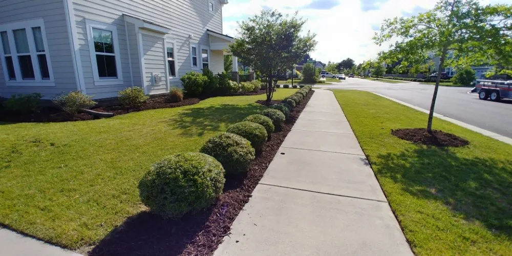 Professional yard maintenance experts serving Crystal River, FL - Nature's Choice Lawn Care