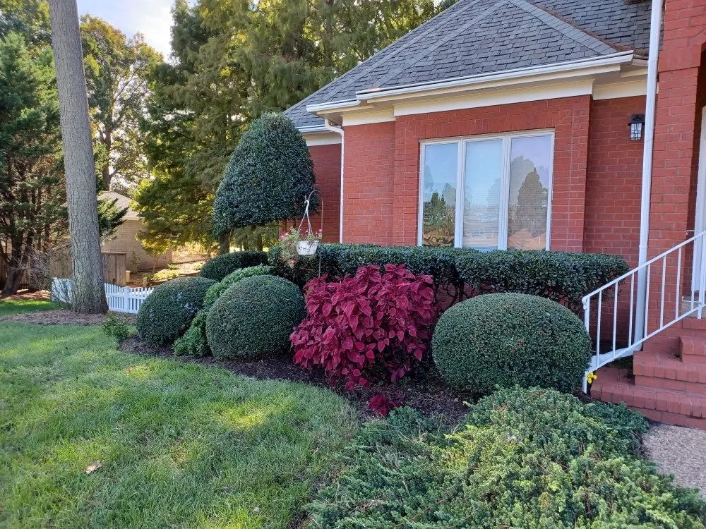 Expert landscape installation for beautiful yards across Crystal River, FL - Nature's Choice Lawn Care