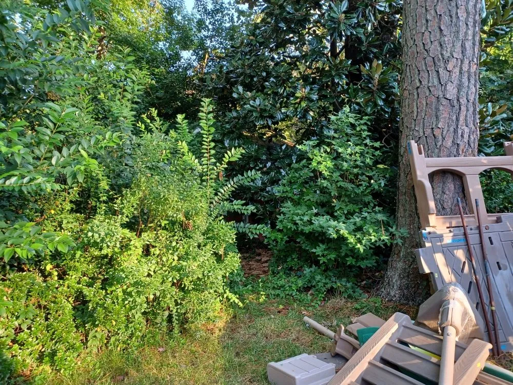 Trusted residential landscaping for beautiful yards in Crystal River, FL by Nature's Choice Lawn Care