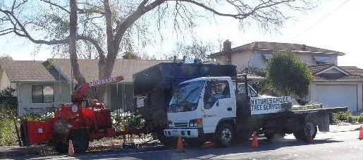 Affordable residential landscaping near you in Hayward, CA by Nature's Choice Tree & Landscape