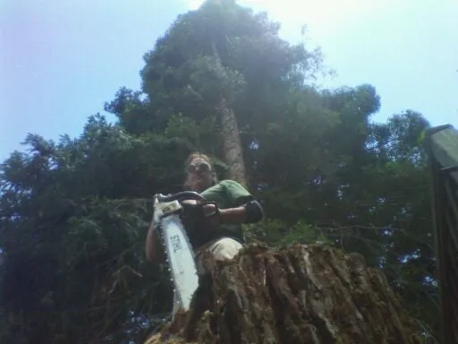 Local landscape design experts serving Hayward, CA - Nature's Choice Tree & Landscape