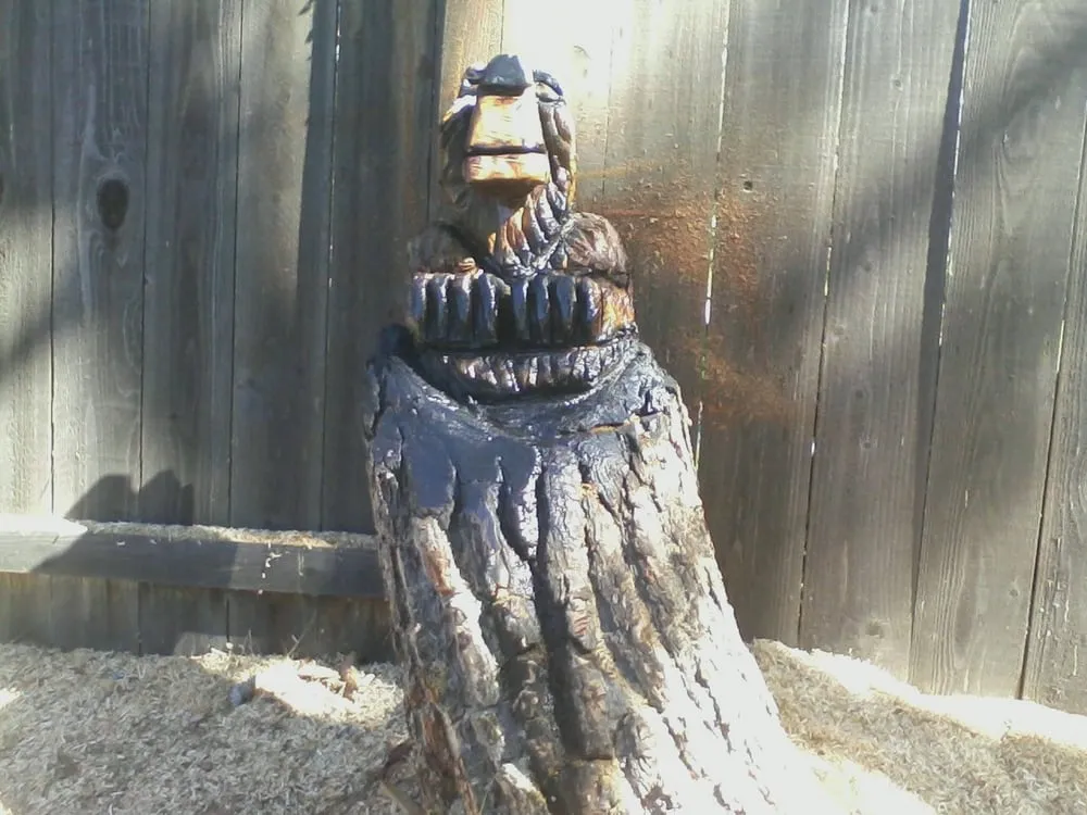 Expert residential landscaping with custom design across Hayward, CA - Nature's Choice Tree & Landscape