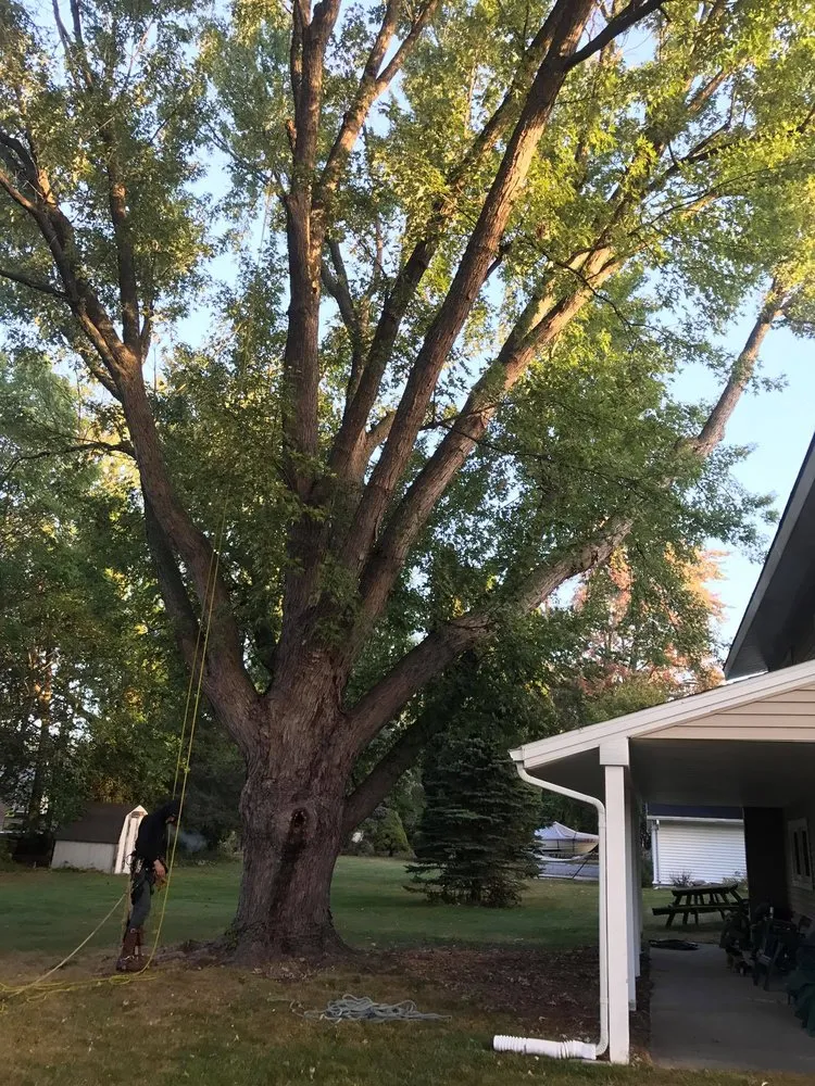 Reliable residential landscaping for year-round maintenance across Mount Pleasant, MI - Nature's Choice Tree Management