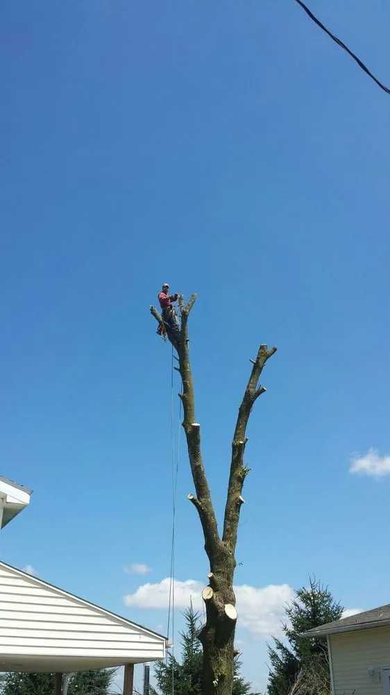 Custom garden landscaping for outdoor upgrades in Mount Pleasant, MI by Nature's Choice Tree Management