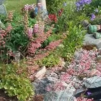 Reliable lawn care service for residential properties in Mount Pleasant, MI by Nature's Choice Tree Management