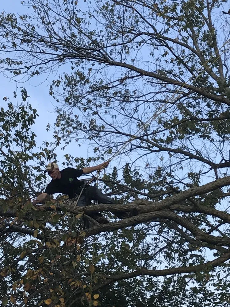 Trusted residential landscaping in Mount Pleasant, MI by Nature's Choice Tree Management