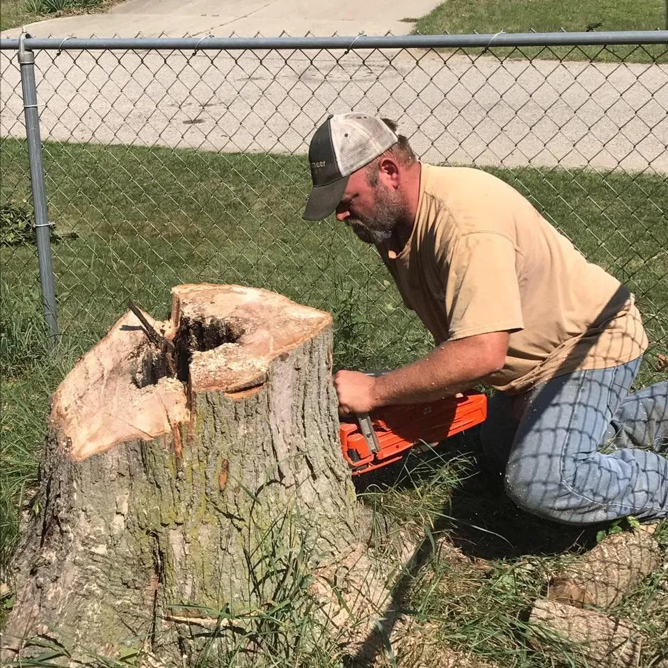 Top-rated residential landscaping for outdoor upgrades in Mount Pleasant, MI by Nature's Choice Tree Management