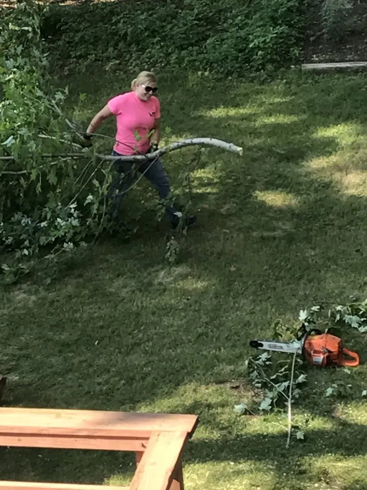 Custom yard maintenance for homes across Mount Pleasant, MI - Nature's Choice Tree Management