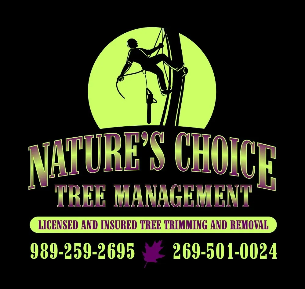 Professional yard maintenance in Mount Pleasant, MI - Nature's Choice Tree Management