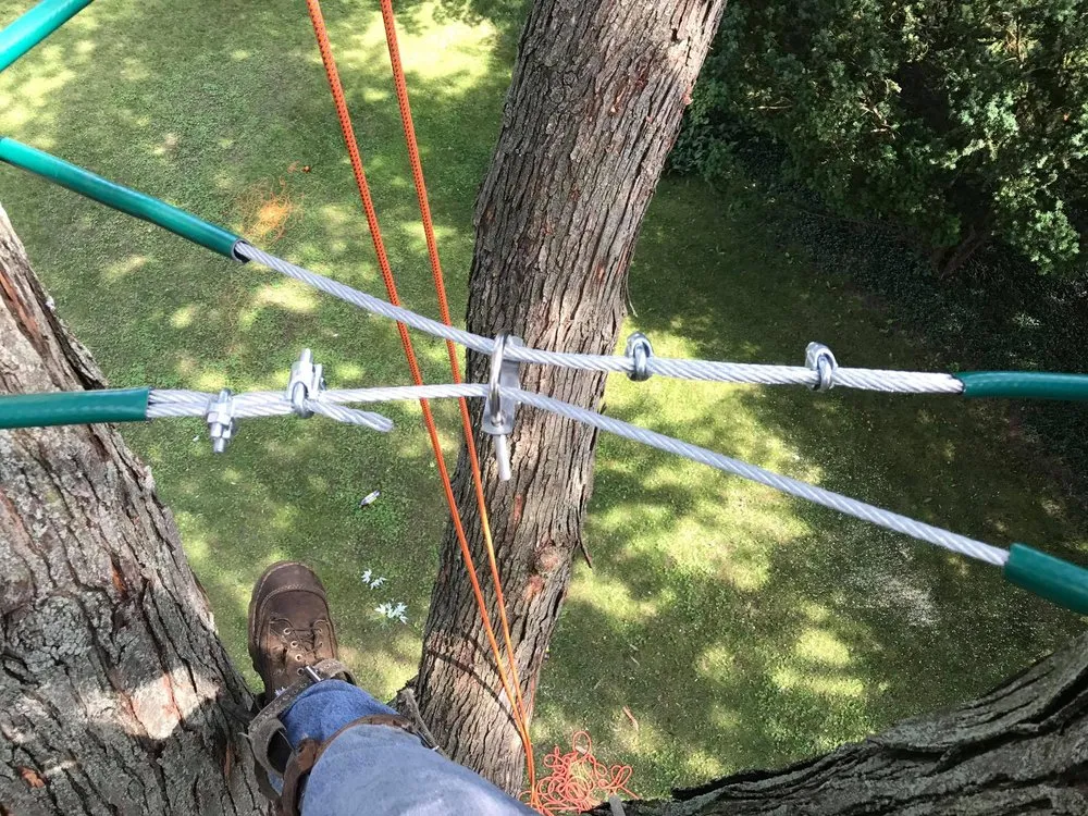 Top-rated residential landscaping in Mount Pleasant, MI - Nature's Choice Tree Management