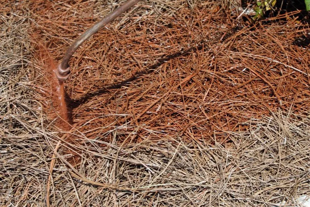 Expert lawn mowing service for outdoor upgrades across Dawsonville, GA - Nature's Color