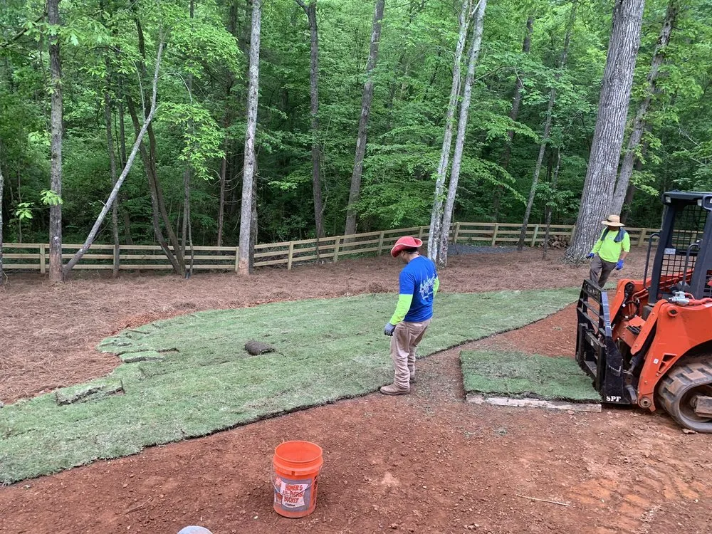 Affordable landscape installation for beautiful yards in Dawsonville, GA by Nature's Color