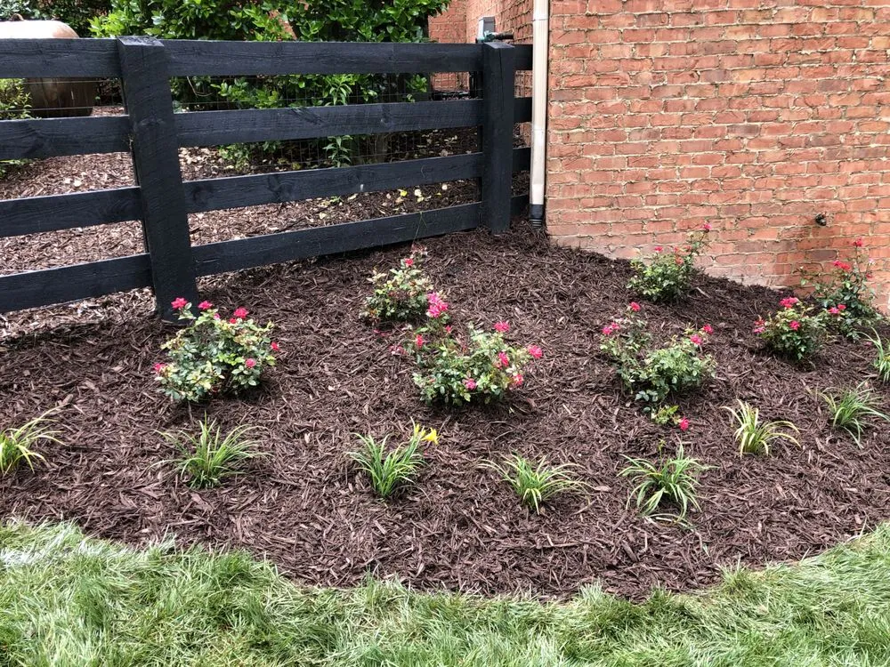 Top-rated outdoor landscaping in Dawsonville, GA by Nature's Color