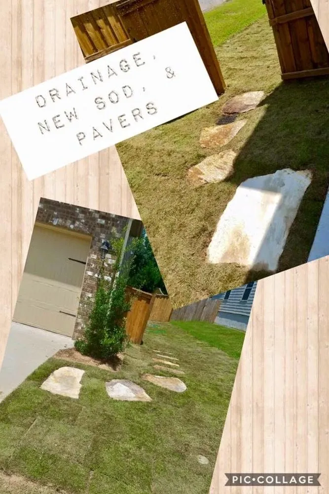 Local outdoor landscaping experts serving Dawsonville, GA - Nature's Color