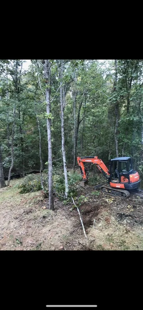 Custom residential landscaping in Dawsonville, GA - Nature's Color