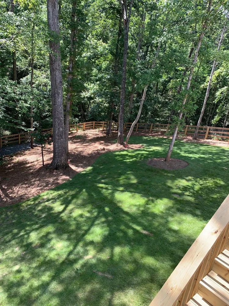 Trusted yard cleanup service with custom design across Dawsonville, GA - Nature's Color