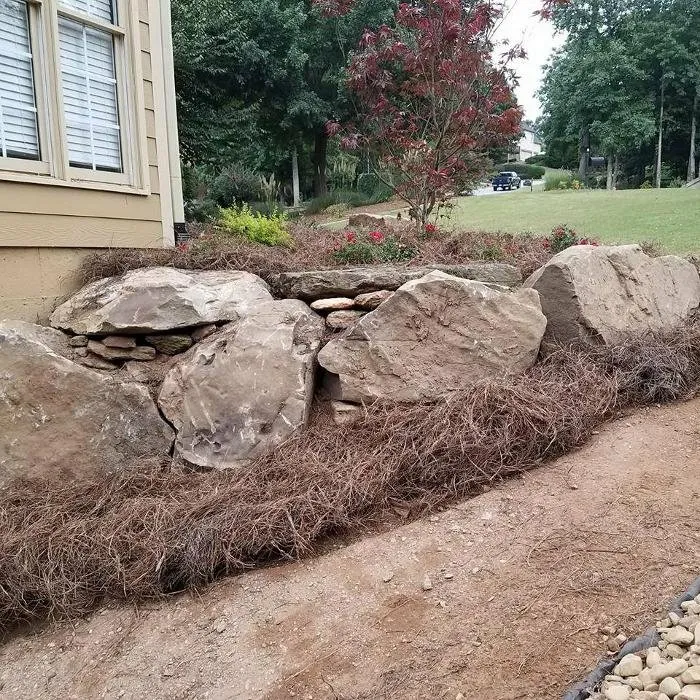 Affordable yard cleanup service in Dawsonville, GA - Nature's Color