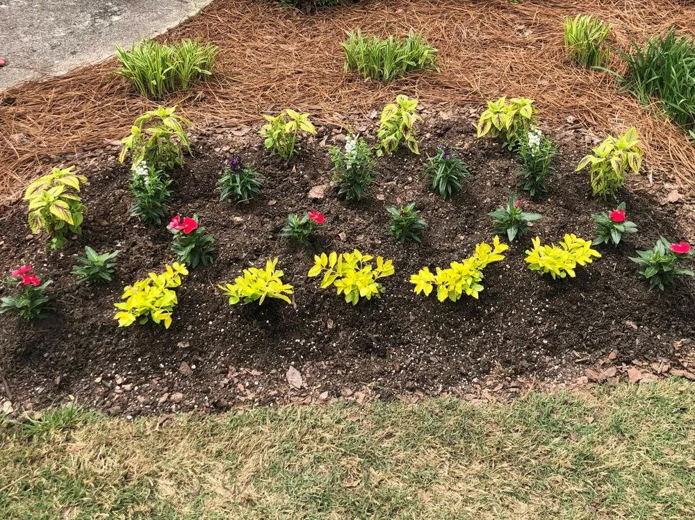 Professional garden landscaping for year-round maintenance in Dawsonville, GA by Nature's Color