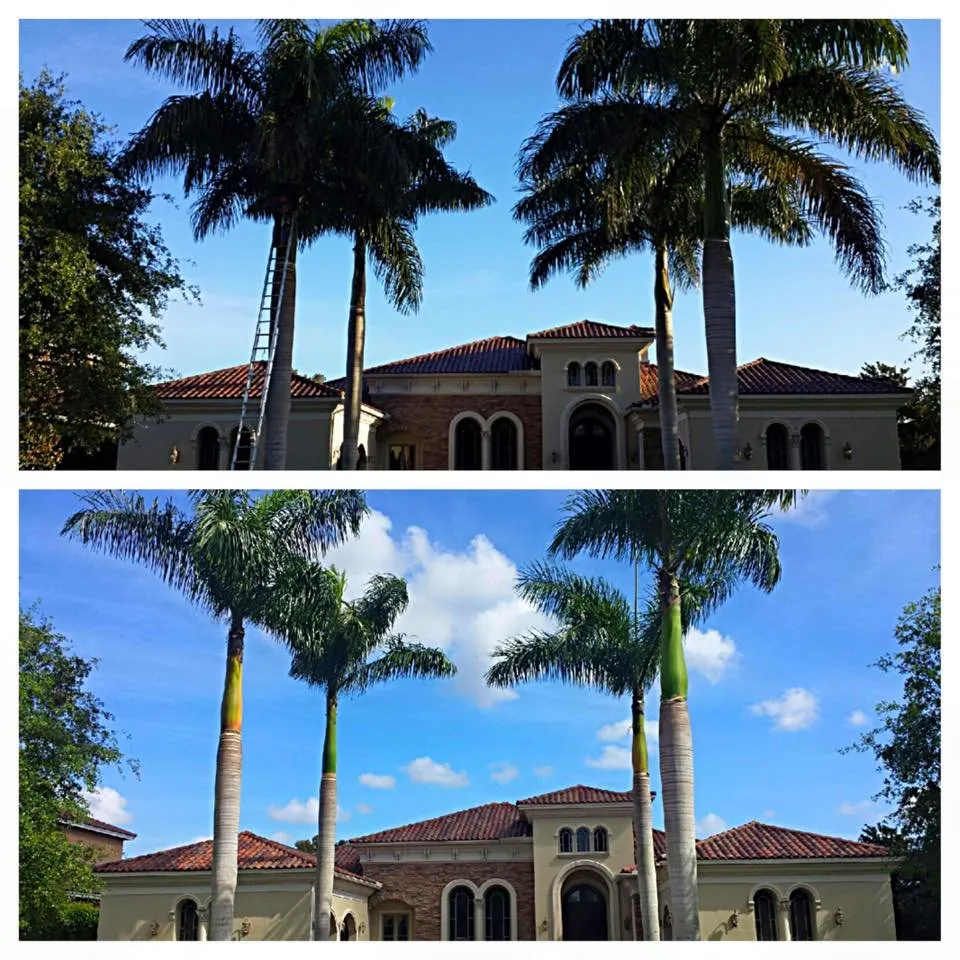 Custom lawn care service near you across Davie, FL - Nature's Comfort Landscaping