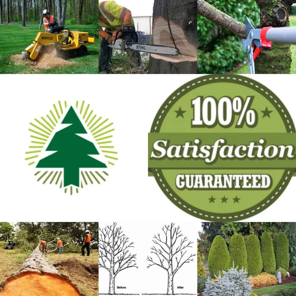 Top-rated garden landscaping for outdoor upgrades in Fabius, NY by Nature's Companion Landscaping