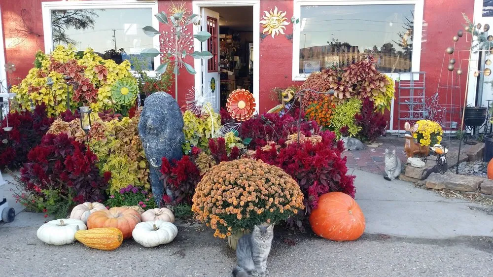 Expert outdoor landscaping for beautiful yards across Dodge City, KS - Nature's Corner Garden Center & Nursery