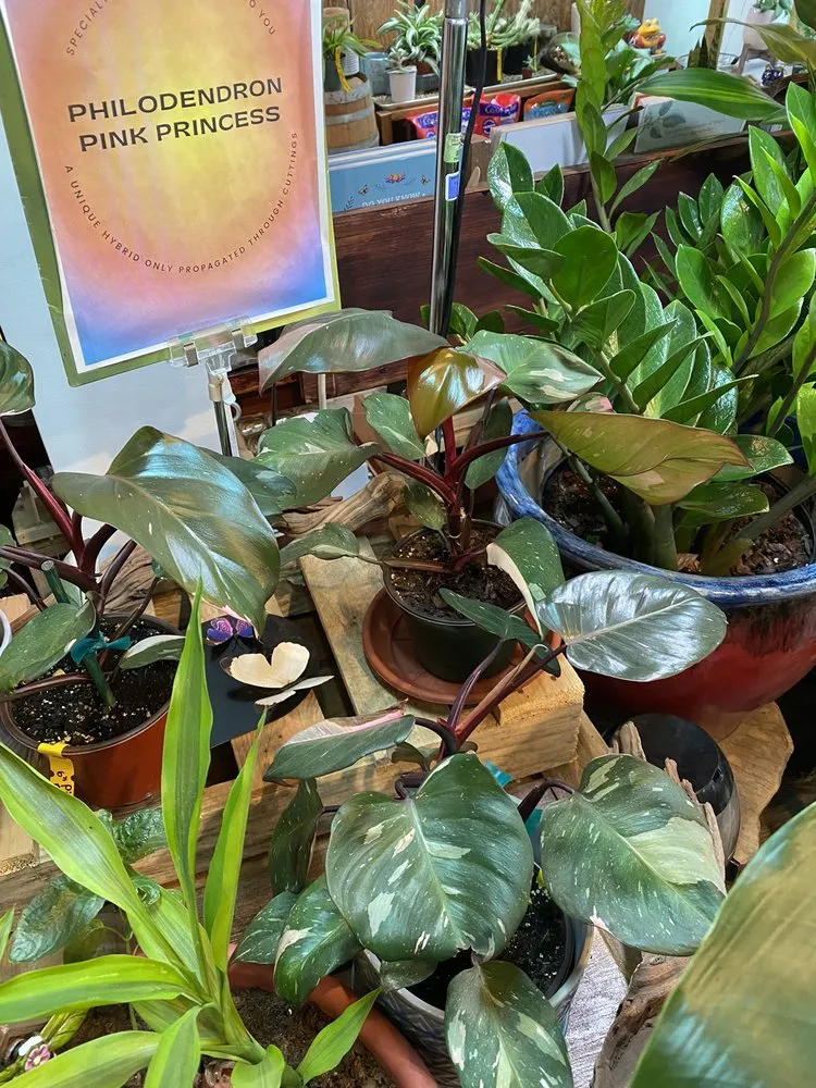 Expert landscape installation in Eastchester, NY by Natures Cradle Nursery & Farmstand