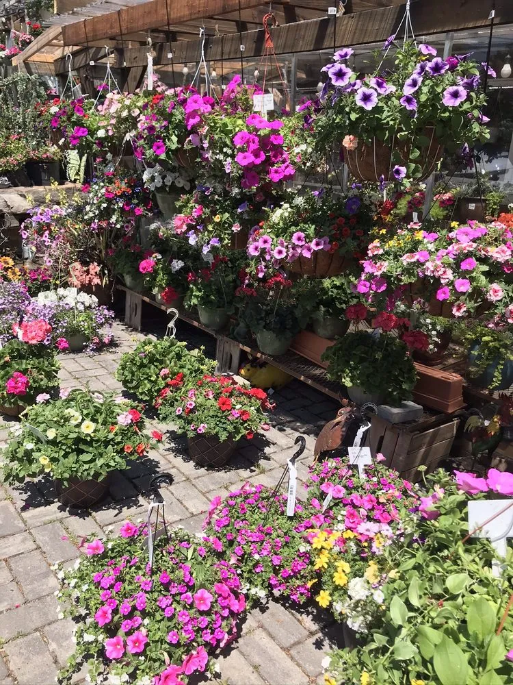 Affordable landscape design experts serving Eastchester, NY - Natures Cradle Nursery & Farmstand