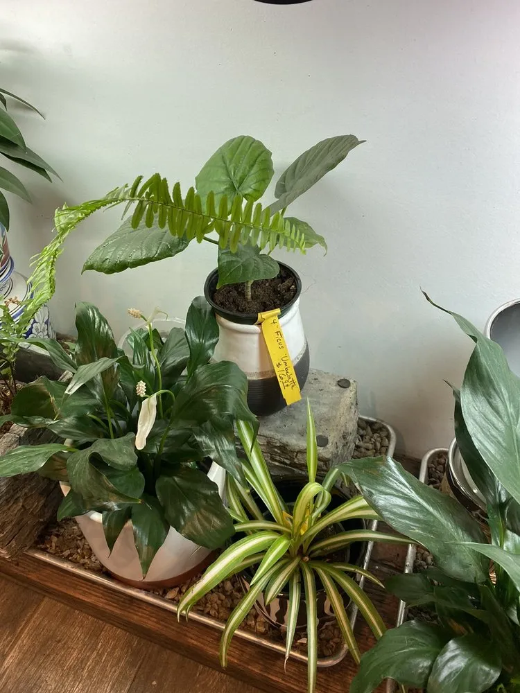 Custom landscape installation for year-round maintenance across Eastchester, NY - Natures Cradle Nursery & Farmstand