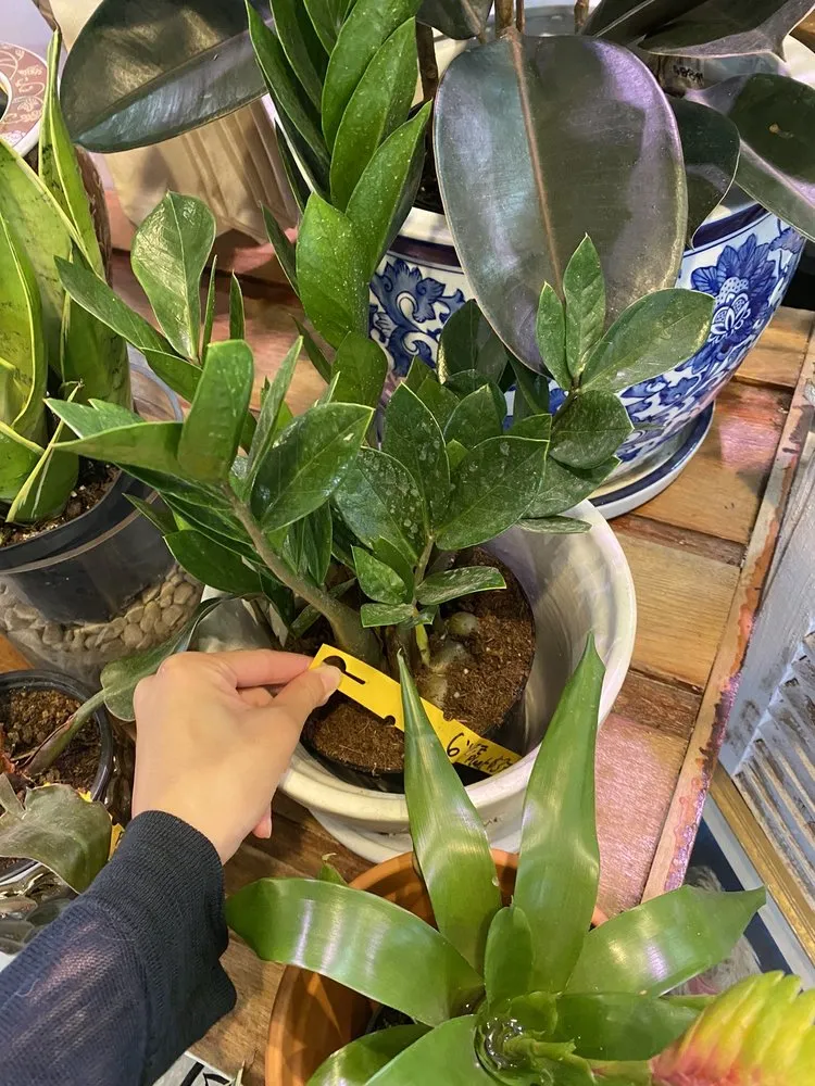 Custom garden landscaping experts serving Eastchester, NY - Natures Cradle Nursery & Farmstand