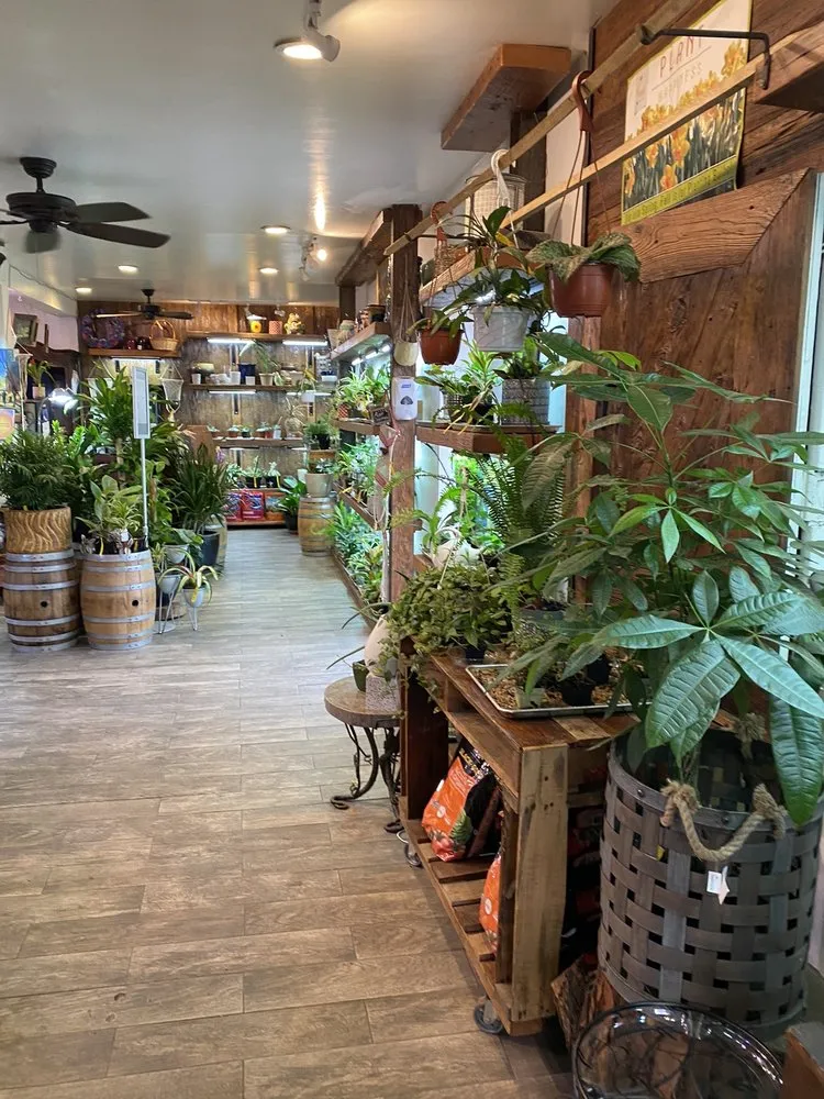 Expert yard cleanup service for homes across Eastchester, NY - Natures Cradle Nursery & Farmstand