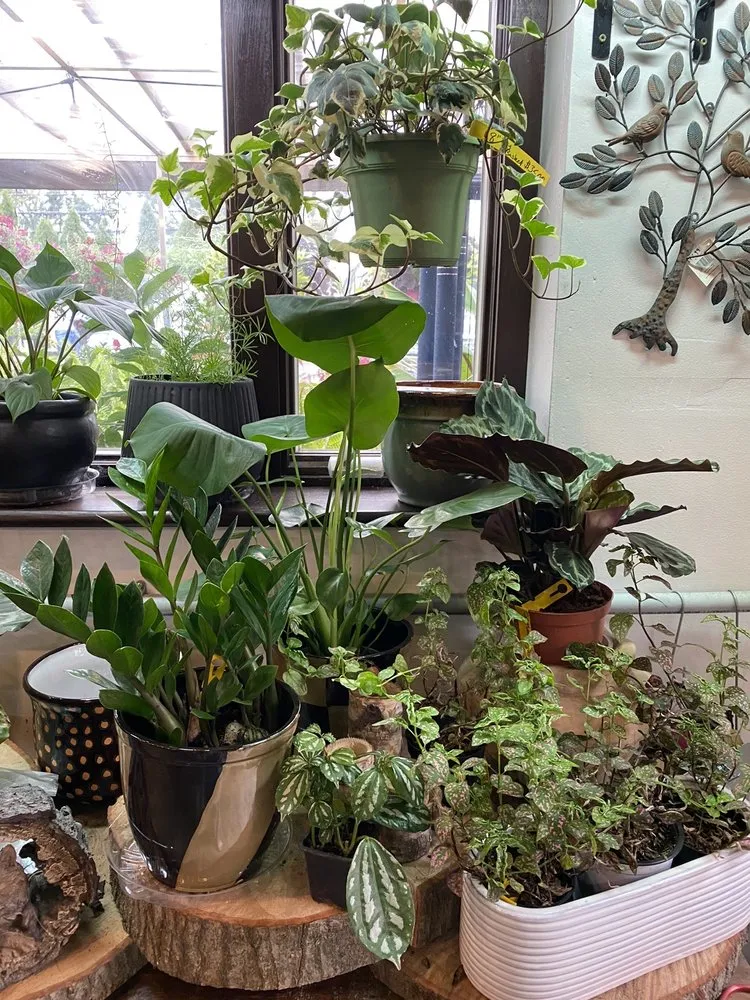 Expert yard maintenance for year-round maintenance across Eastchester, NY - Natures Cradle Nursery & Farmstand