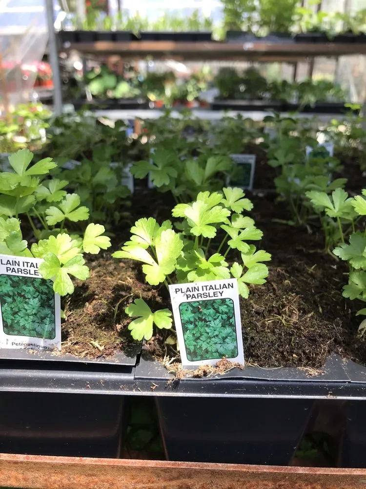 Top-rated landscaping services with custom design in Eastchester, NY by Natures Cradle Nursery & Farmstand