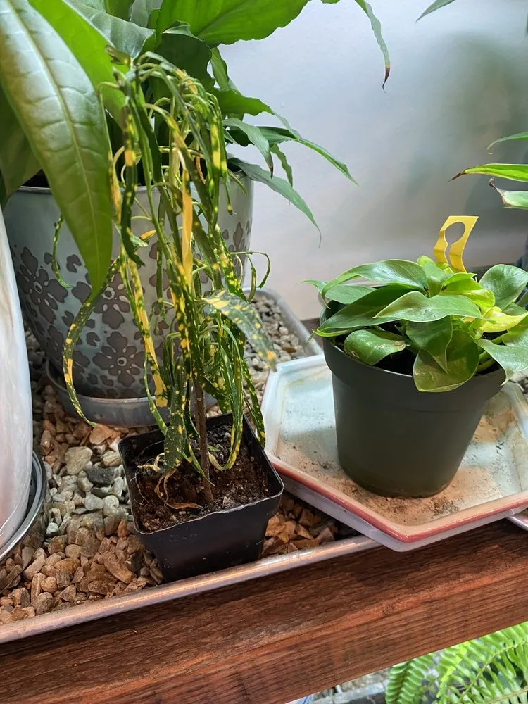 Expert garden landscaping for beautiful yards in Eastchester, NY by Natures Cradle Nursery & Farmstand