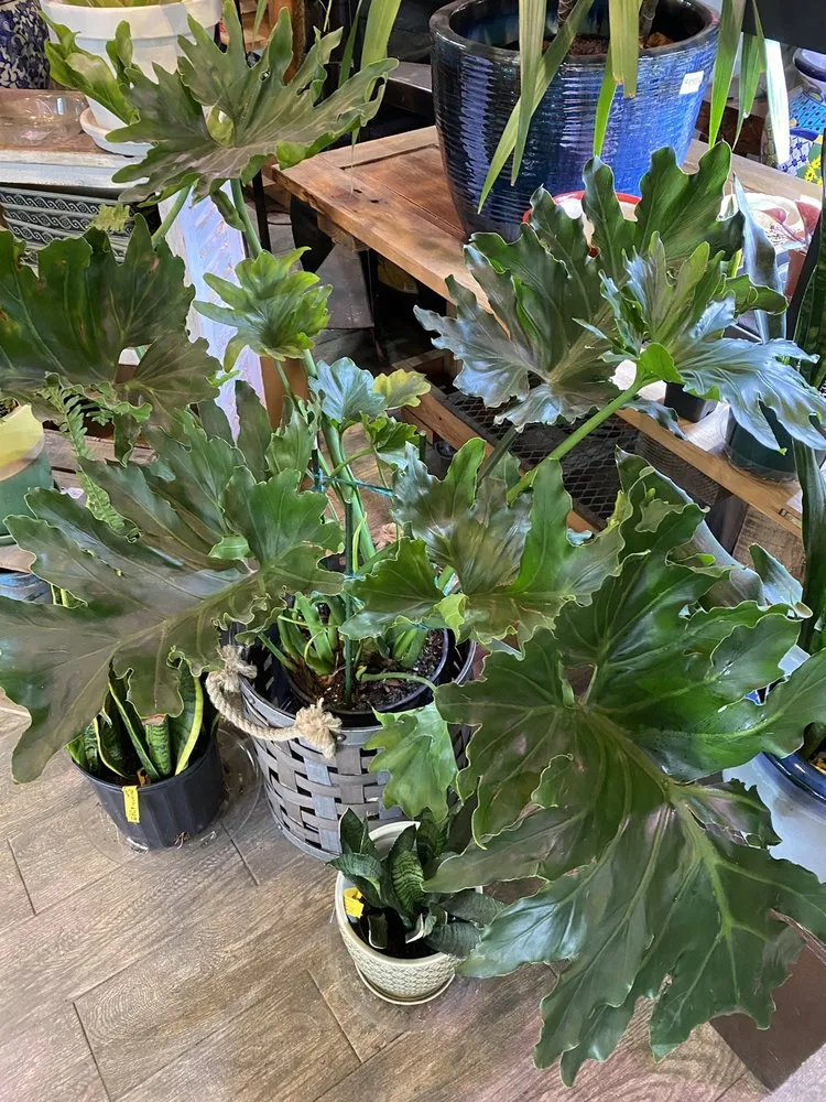 Top-rated landscape installation in Eastchester, NY - Natures Cradle Nursery & Farmstand