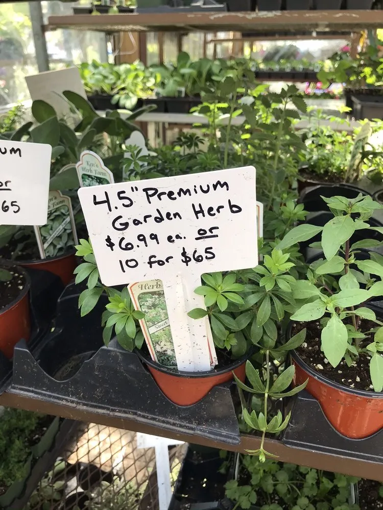 Local yard maintenance in Eastchester, NY by Natures Cradle Nursery & Farmstand