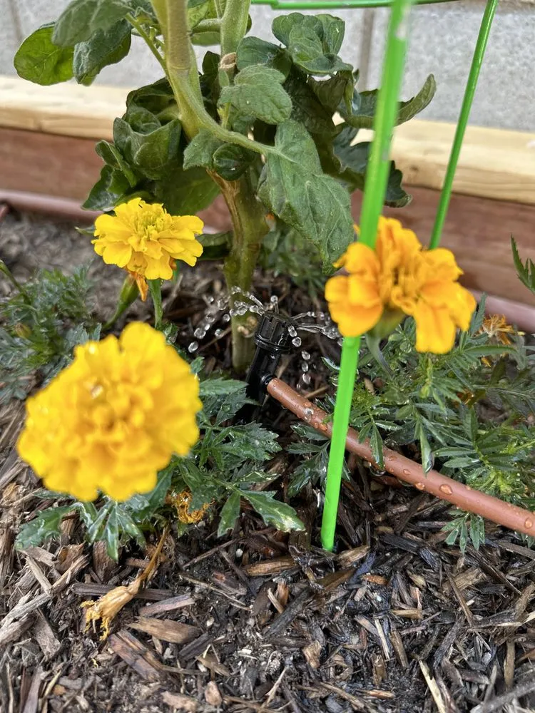 Professional residential landscaping near you across Cerritos, CA - Natures Craft Landscaping