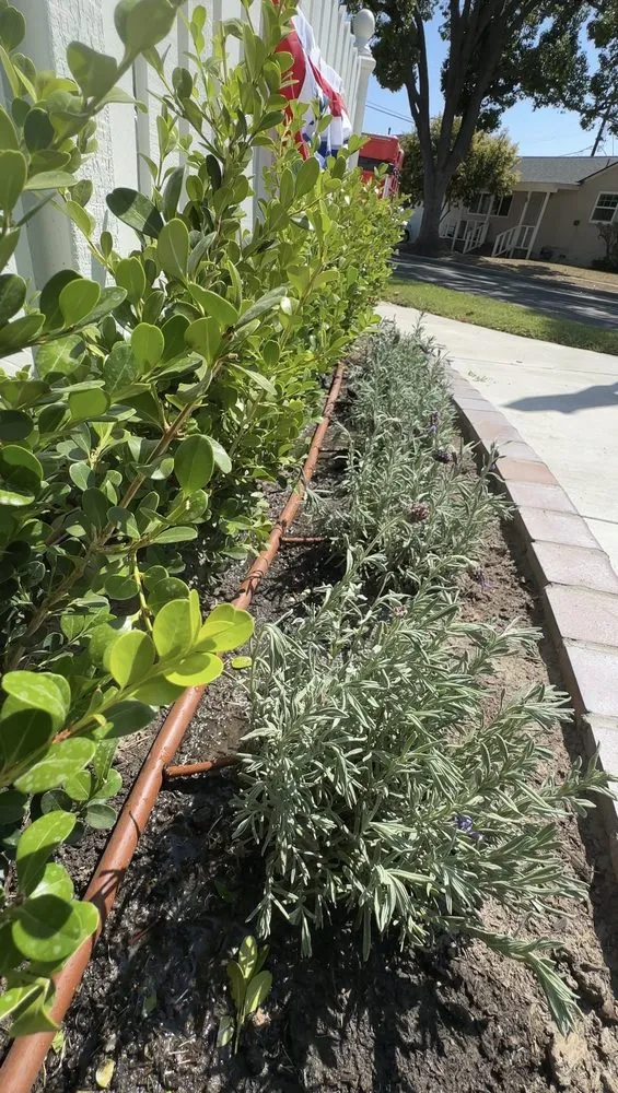 Affordable landscaping services with custom design in Cerritos, CA by Natures Craft Landscaping