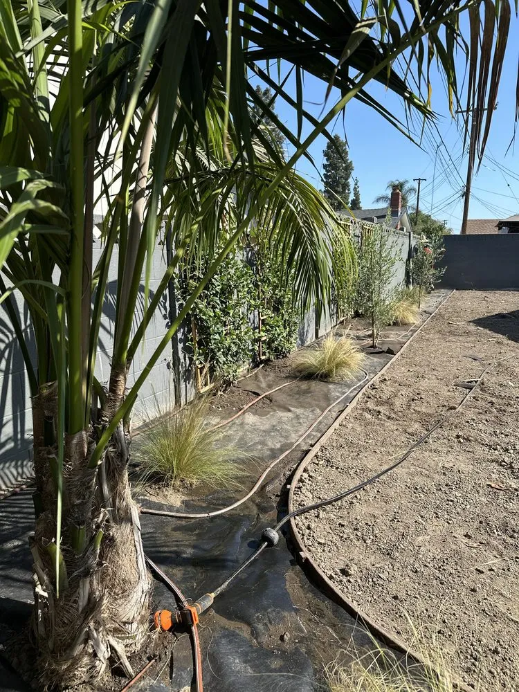 Affordable landscaping services experts serving Cerritos, CA - Natures Craft Landscaping