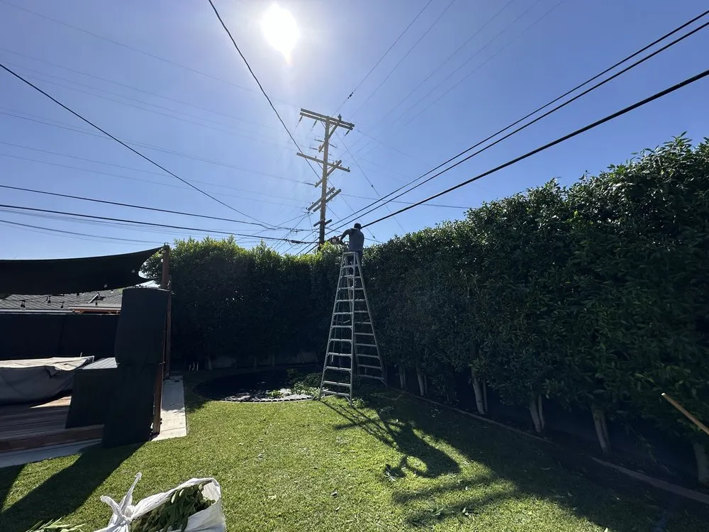 Trusted landscape installation in Cerritos, CA by Natures Craft Landscaping