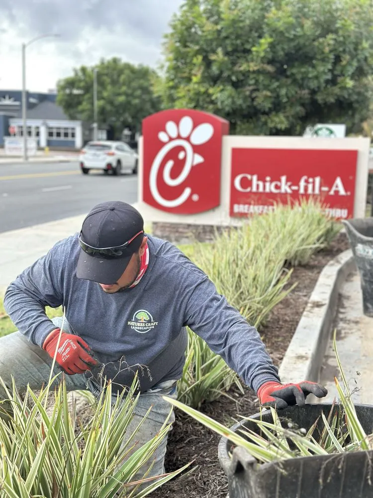 Reliable residential landscaping for homes across Cerritos, CA - Natures Craft Landscaping