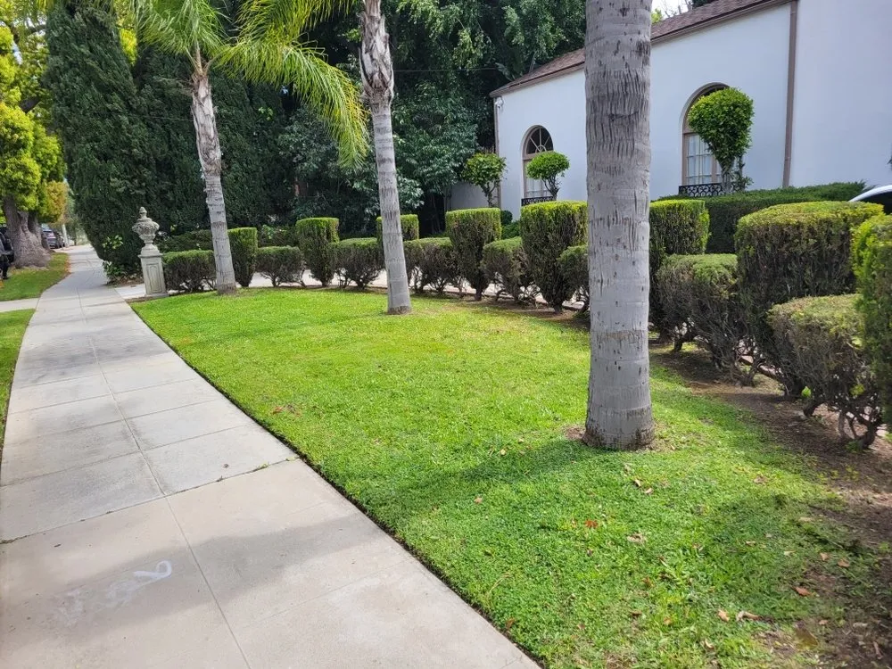 Reliable yard cleanup service for year-round maintenance across Cerritos, CA - Natures Craft Landscaping
