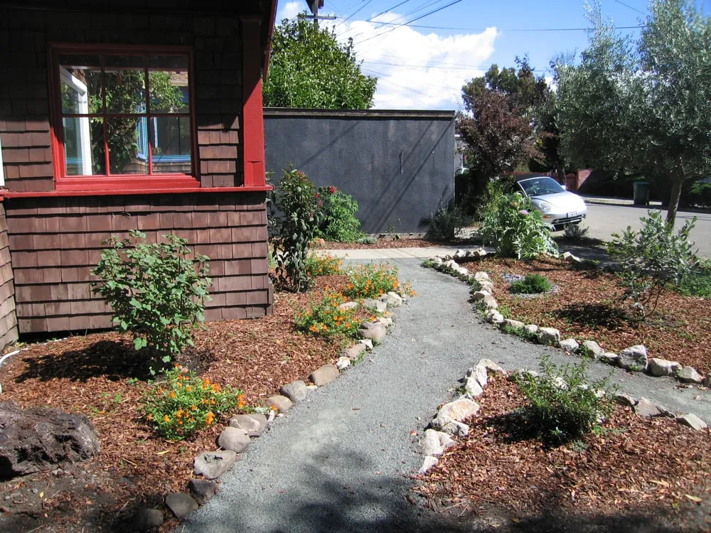 Expert landscaping services for year-round maintenance in Berkeley, CA by Nature's Creations