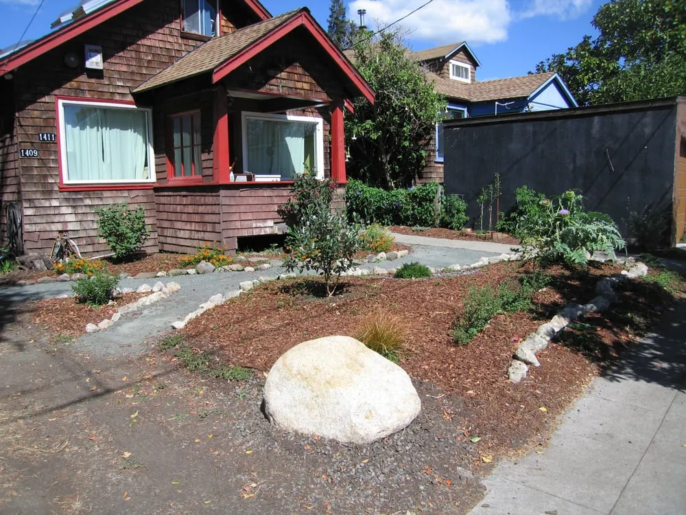 Affordable landscaping services for year-round maintenance in Berkeley, CA by Nature's Creations