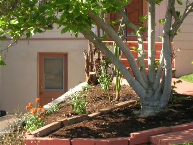 Expert landscape installation in Berkeley, CA by Nature's Creations