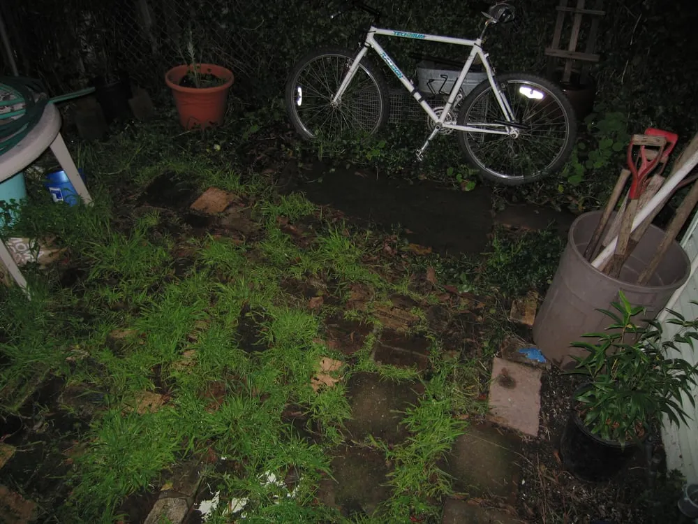 Top-rated yard cleanup service in Berkeley, CA - Nature's Creations