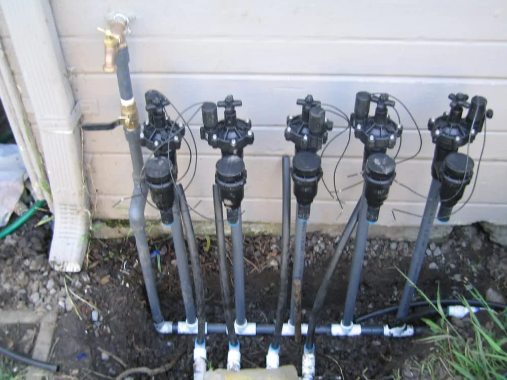 Trusted lawn care service in Berkeley, CA - Nature's Creations